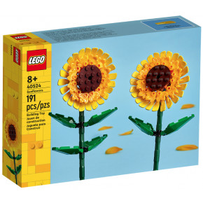 Recensione, foto e galleria delle rose LEGO iconiche 40460